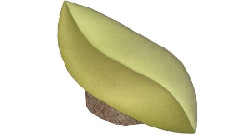 Link zur Seite Hocker Lorbeerblatt